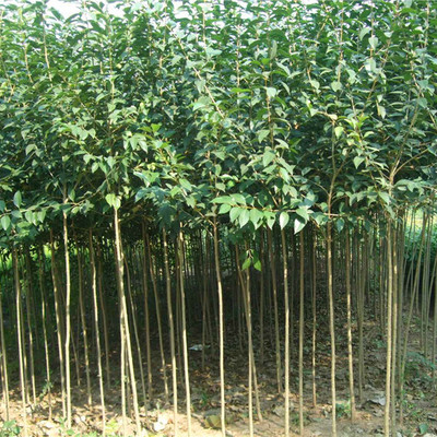 產(chǎn)品供應(yīng)