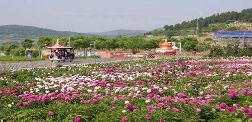 濟(jì)南市特色林果花海旅游季暨公園景區(qū)花朝節(jié)開(kāi)幕