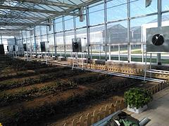 【LOOK!】山東養殖暖風機【園藝暖風機廠家】濰坊大棚暖風機-青州市 爐具廠提供【LOOK!】山東養殖暖風機【園藝暖風機廠家】濰坊大棚暖風機的相關介紹、產品、服務、圖片、價格取暖風機、水暖鍋爐、熱風機廠家、養殖取暖鍋爐、生物質鍋爐廠家、大棚花卉養殖鍋爐、