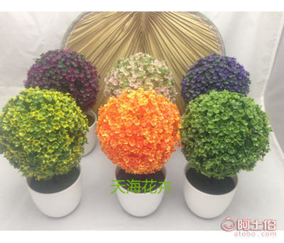 【天?；ɑ芊抡鏅蜒┣蚺柙耘杈靶浯芭_擱板擺件道具真樹花球草球】濟南市天橋區天?；ɑ苌绦?- 產品庫