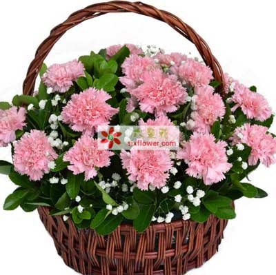 路橋區(qū)母親節(jié)訂花,臺(tái)州路橋區(qū)花店,為您傳遞愛(ài)的溫暖