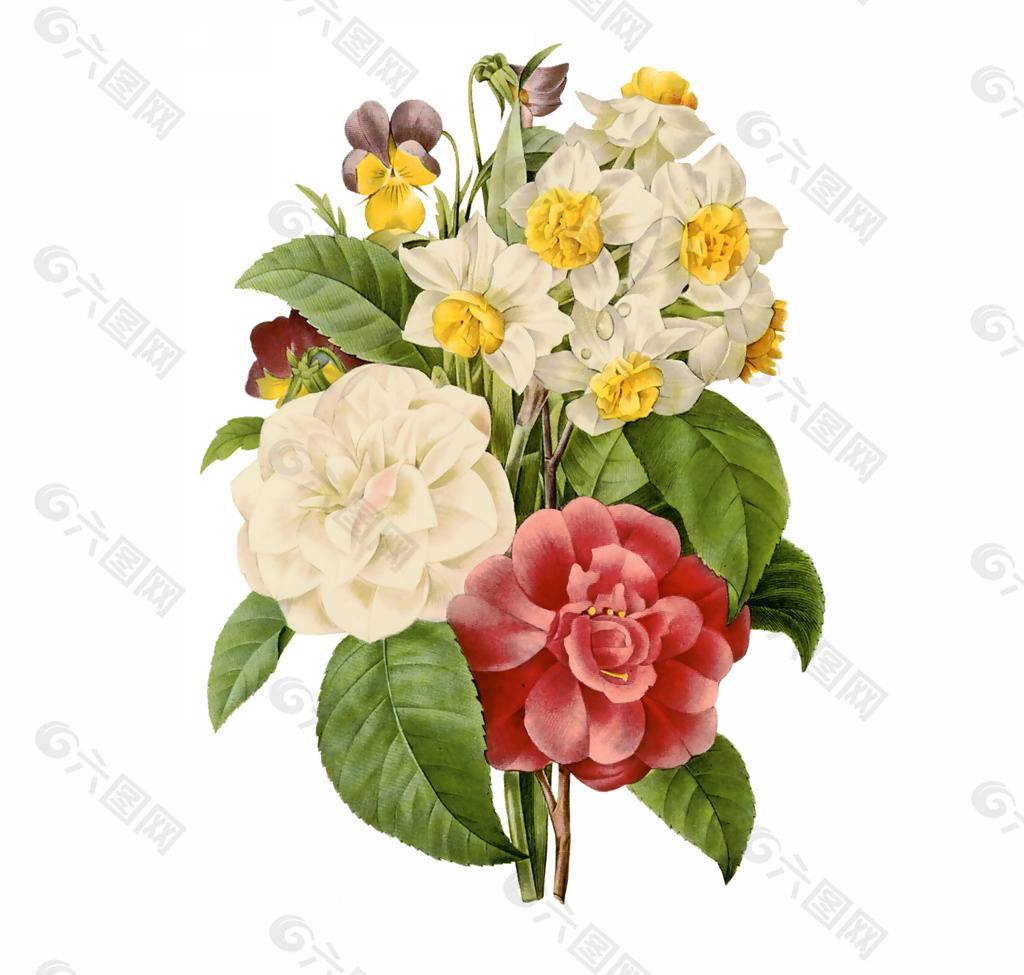 位圖 植物圖案 寫意花卉 花朵 免費素材產(chǎn)品工業(yè)素材免費.
