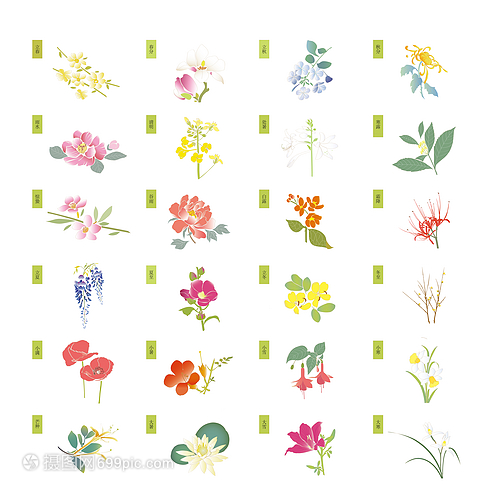 二十四節(jié)氣花卉