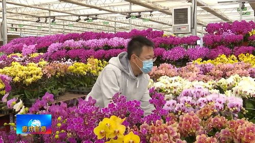 廣電關注丨 暢通交通 血脈 實現(xiàn)互聯(lián)互通新突破